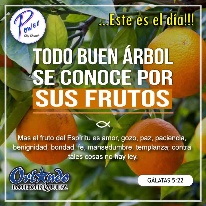 Devocional Familia EmpoderaDos