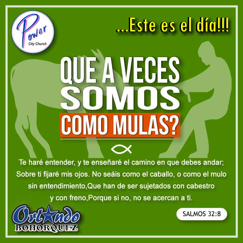 Devocional Familia EmpoderaDos