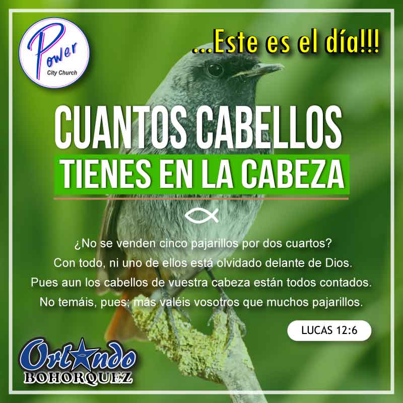 Devocional Familia EmpoderaDos